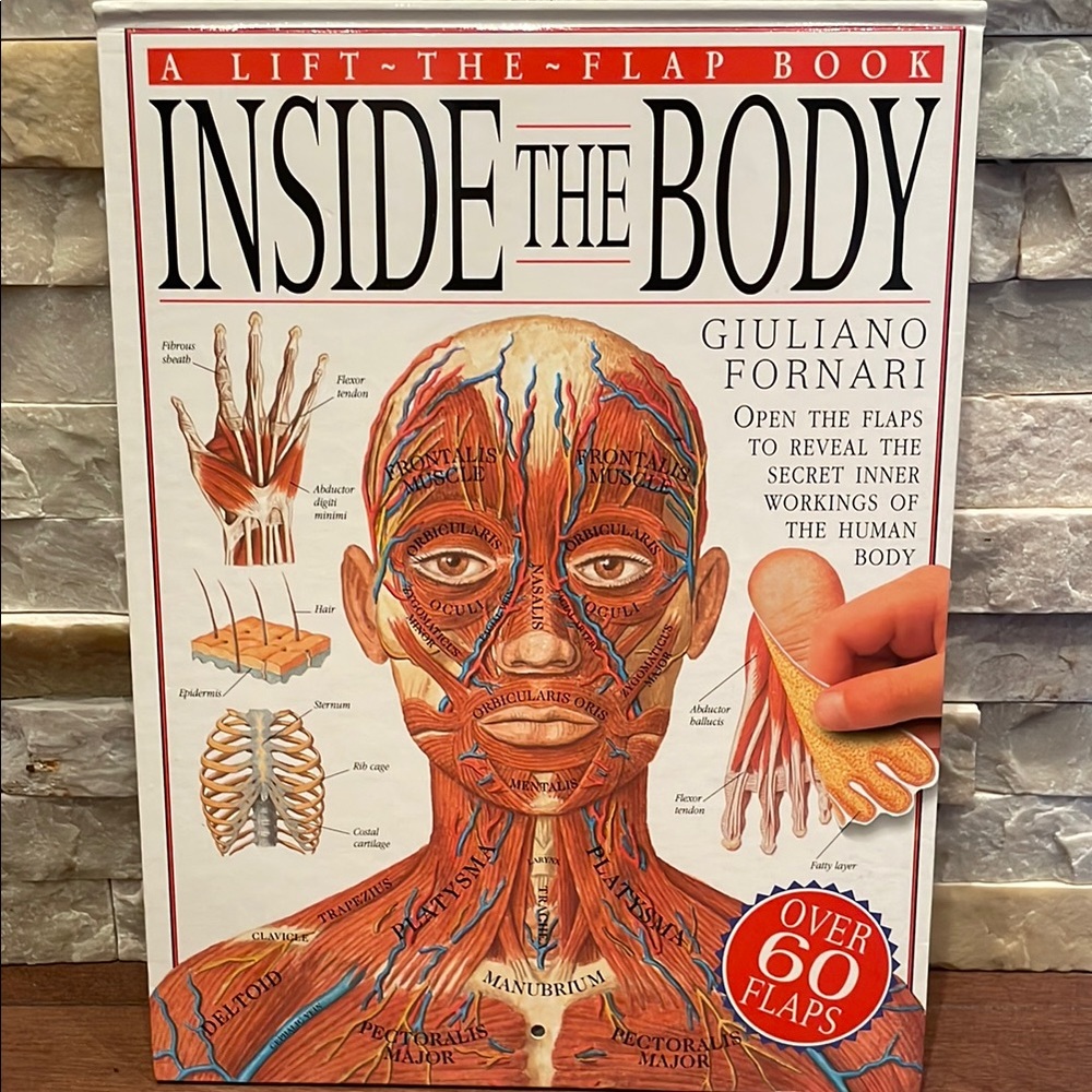 Inside the Body Lift-the-Flap Book